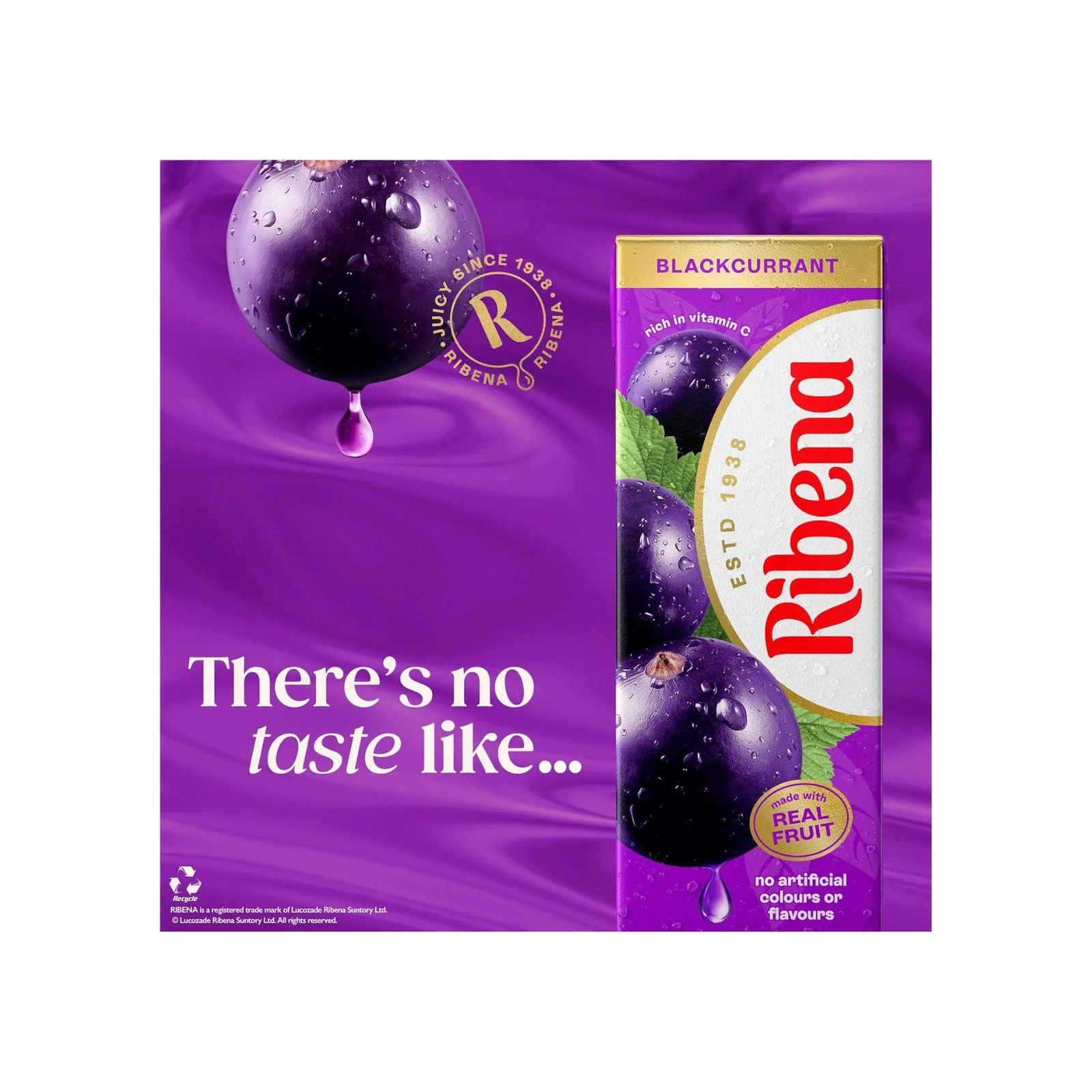 Ribena Blackcurrant Juice Drink Cartons 6 Pack 250ml (Box of 4) - Image 4