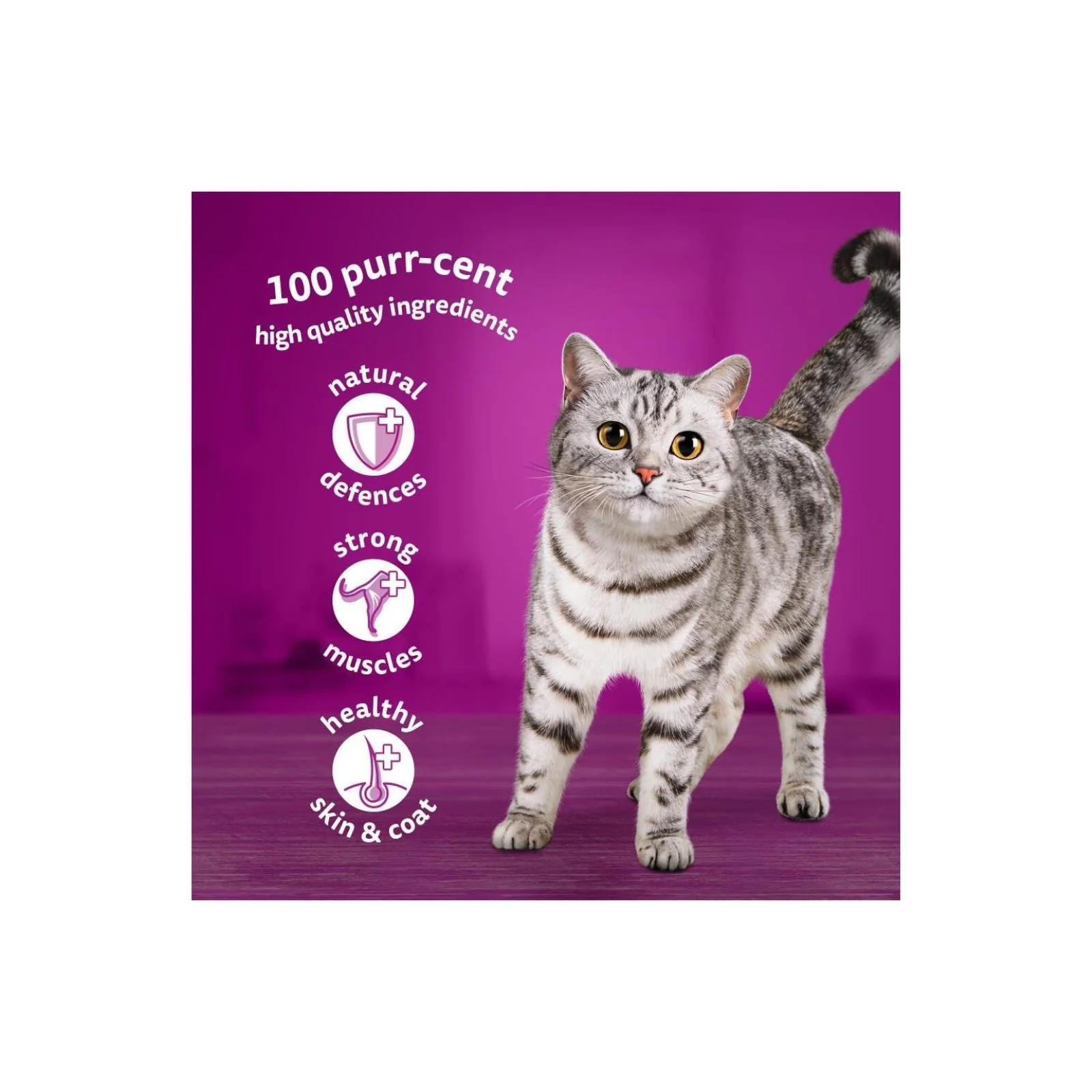 WHISKAS - 1+ Adult Wet Cat Food Pouches 85g (Box 0f 40) - Image 2